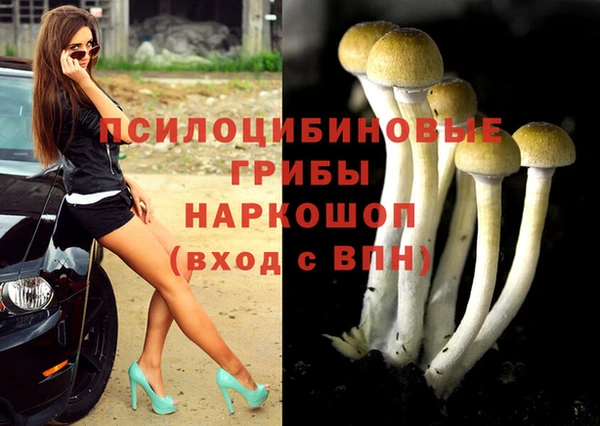 прущий лед Переславль-Залесский