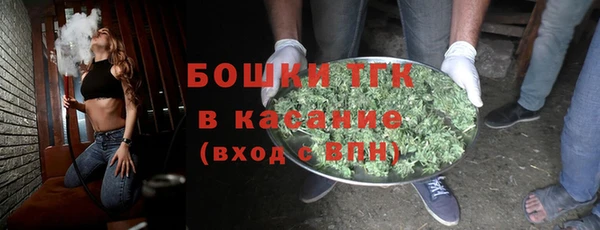 дурь Пересвет