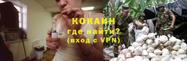 дурь Пересвет