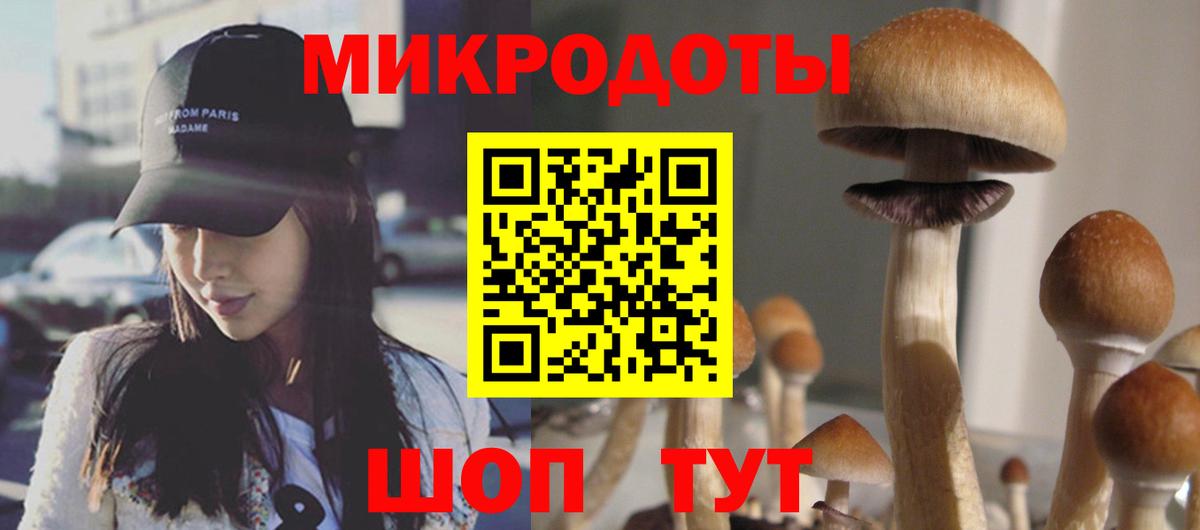 Псилоцибиновые грибы Cubensis  Галлюциногенные грибы GOLDEN TEACHER  Вход с VPN  Петрозаводск 