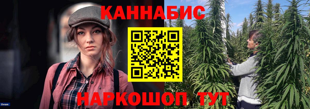 Марихуана ГИДРОПОН  Каннабис Ganja  Канабис планчик  Вход с VPN  Петрозаводск  Конопля марихуана 